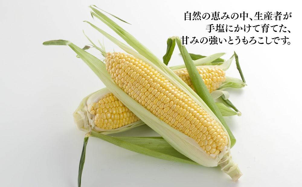 【先行予約】旭川近郊産　黄色いとうもろこし（ゴールドラッシュ）3.5kg（10本） _04842