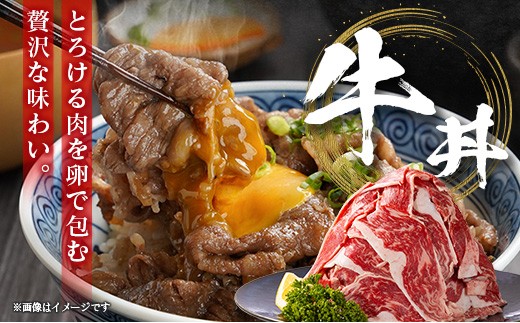 ＜2026年9月お届け＞［訳あり］宮崎県産 黒毛和牛 切り落とし（スライス）計500g 国産 牛肉【A351-S-09】