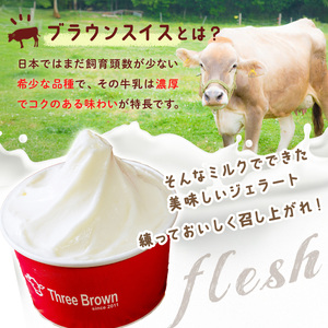 ジェラート 幻の牛の生乳から作るジェラート 6個 群馬県 前橋市