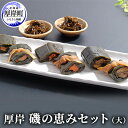 【ふるさと納税】厚岸磯の恵みセット（大）　【加工品・こんぶ・魚介類】