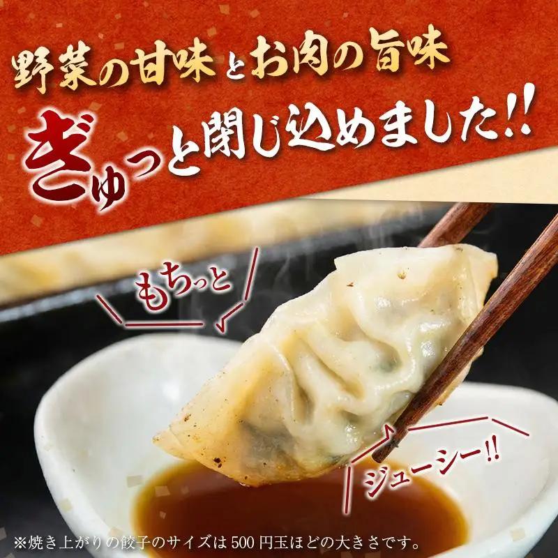 「一口餃子の大明神」一口餃子セット 計200個 （50個入×4袋） タレ付き