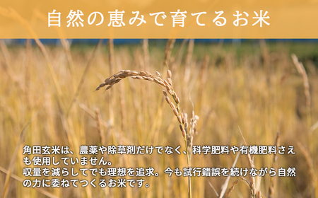 【1111】＜令和6年産新米＞北海道厚真町産　農薬不使用・自然栽培の角田玄米　5kg（ななつぼし)定期便3ヵ月コース