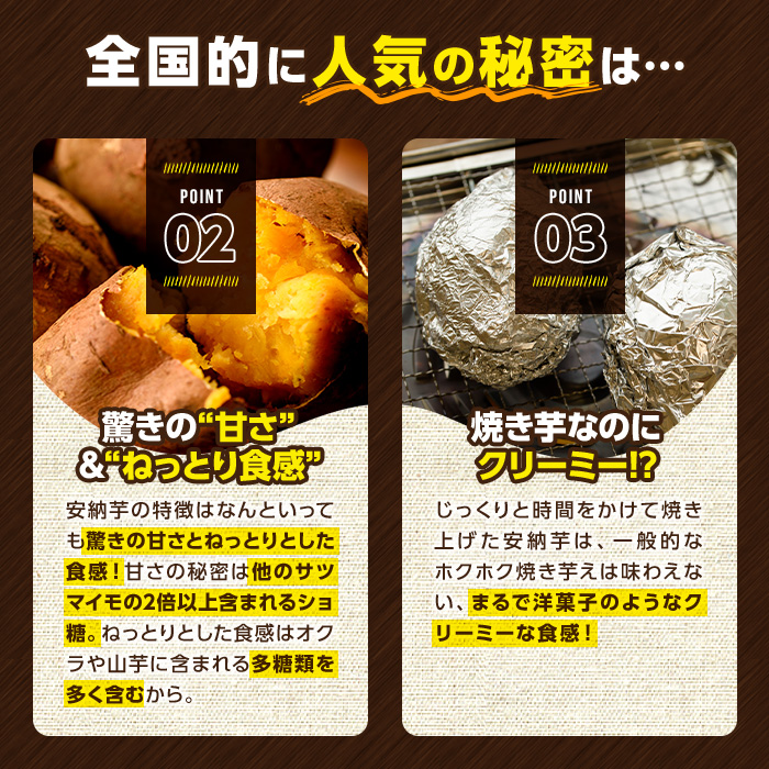 n080 ＜先行予約受付中！2024年10月中旬より順次発送予定＞種子島産 安納芋(10kg)【種子島安納株式会社】
