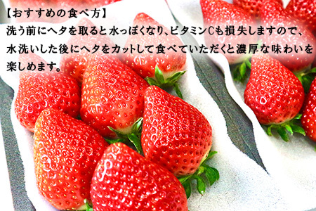『予約受付』【令和6年1月下旬より順次発送】唐津産 いちごさん 250g×12パック(合計3kg) 濃厚いちご 苺 イチゴ 果物 フルーツ