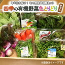 【ふるさと納税】【年4回お届け！定期便】四季の有機野菜色とりどりセット