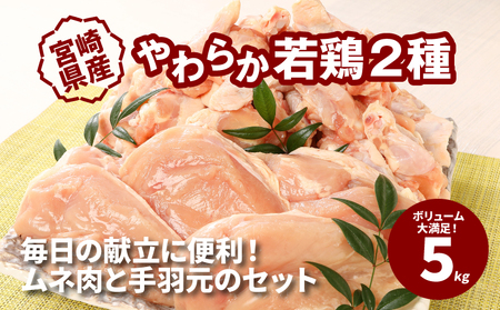 ★スピード発送!!７日～10日営業日以内に発送★宮崎県産やわらか若鶏2種5kg  K16_0016_3