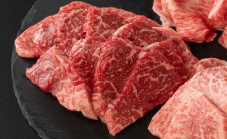 【近江牛　毛利志満】近江牛焼肉3点盛セット　【450ｇ】【S034SM1】(近江牛 焼肉 近江牛 国産 焼肉 近江牛 滋賀県産 焼肉 ブランド和牛 近江牛 牛焼肉 近江牛 ギフト用焼肉 近江牛 焼肉 