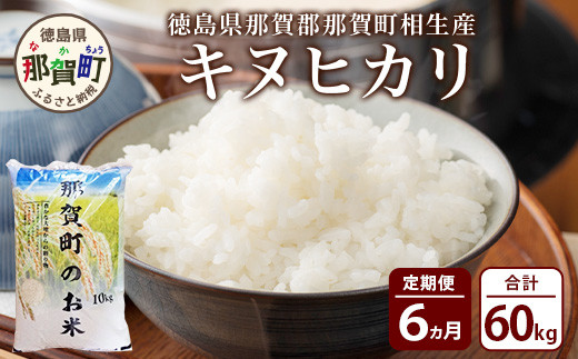 【定期便6回】那賀町のお米 キヌヒカリ10kg［徳島 那賀 国産 お米 こめ おこめ 米 10kg 10キロ 精米 ご飯 ごはん 白米 はくまい 白ごはん 白ご飯 和食 おにぎり お弁当 きぬひかり キヌヒカリ 父の日 お中元 お歳暮 ギフト プレゼント 送料無料］【YS-19】