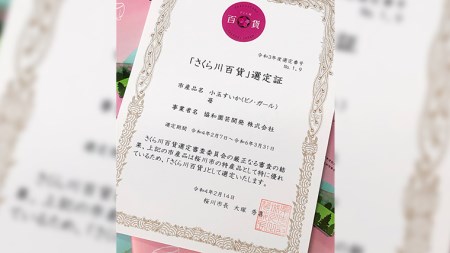 こだまスイカ ピノ・ガール（2玉） 【2024年5月中旬より発送開始】感動必至！ タネが気にならない スイカ 西瓜 [BC028sa]