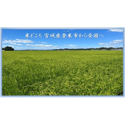 【精米】令和7年宮城県登米市産「ひとめぼれ」10kg×1袋【1674235】