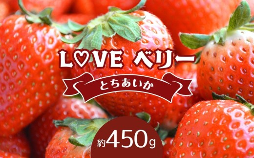 【2027年 先行予約受付中！】♡LOVE ベリー【とちあいか 450g】