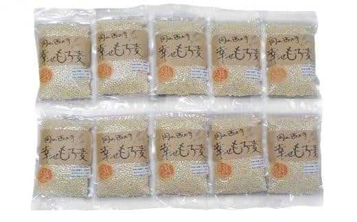 令和6年産 岡山西大寺の幸せもち麦（キラリモチ）数量限定 2kg（200g×10） [No.5220-0680]