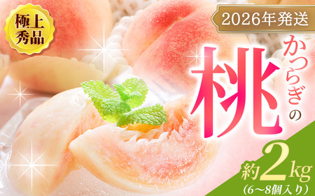 【2026年発送先行予約】桃 極上秀品 約2kg 6～8個入 こだわり農家厳選【先行予約】【2026年7月末から8月末順次発送】【KG19】【BK022-kgr001A】