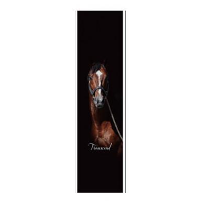 ふるさと納税 平取町 【競馬グッズ】【トランセンド】タペストリー