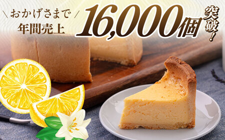 チーズケーキ 5号（15cm) 4~6人分 スイーツ ケーキ ちーずけーき チーズケーキ おやつ チーズケーキ 本格 チーズケーキ 横須賀 チーズケーキ 【日本水産観光株式会社】 [AKBR001]