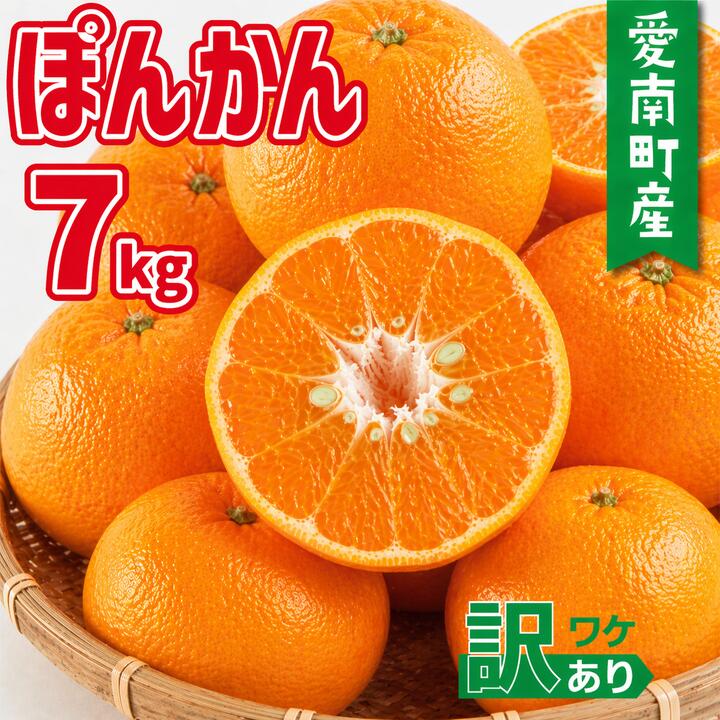 【ふるさと納税】【発送期間：2027年1月初旬～無くなり次第終了】 訳あり ポンカン 7kg （＋傷み保障500g）10000円 みかん 蜜柑 ぽんかん 産地直送 国産　直送 糖度 期間 特産品 人気 限定 甘い フルーツ 果物 柑橘 小玉 含む 規格外 ミッチーのおみかん畑 愛南町 愛媛県