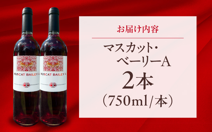 マスカット・ベーリーA 2本 750ml×2 赤ワイン 国産 島根県雲南市/有限会社奥出雲葡萄園 [AICS126]