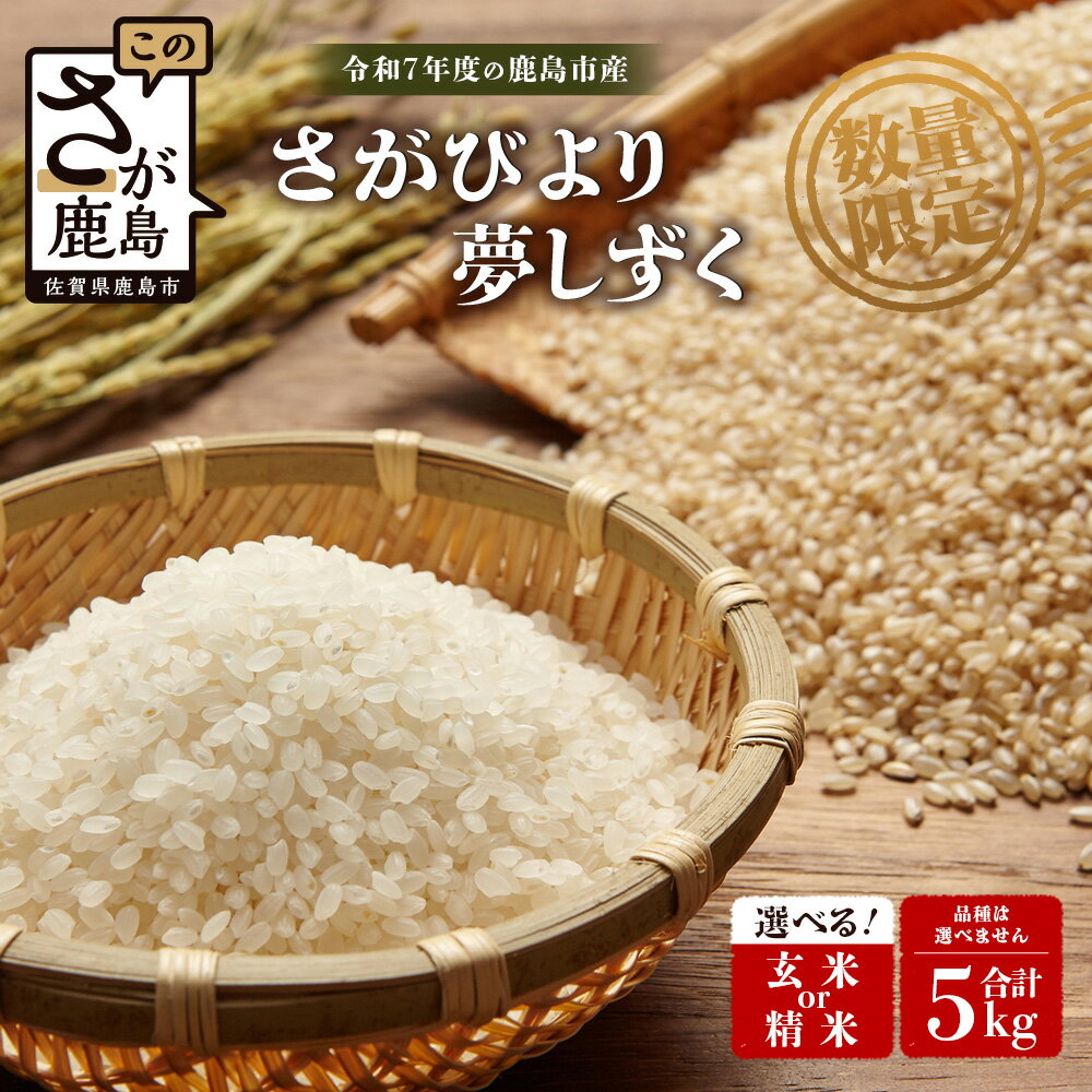 【ふるさと納税】令和7年産 鹿島市産 [さがびよりor夢しずく] 5kg 1袋 【品種指定不可】 玄米 精米 10月初旬から発送開始予定　C-154