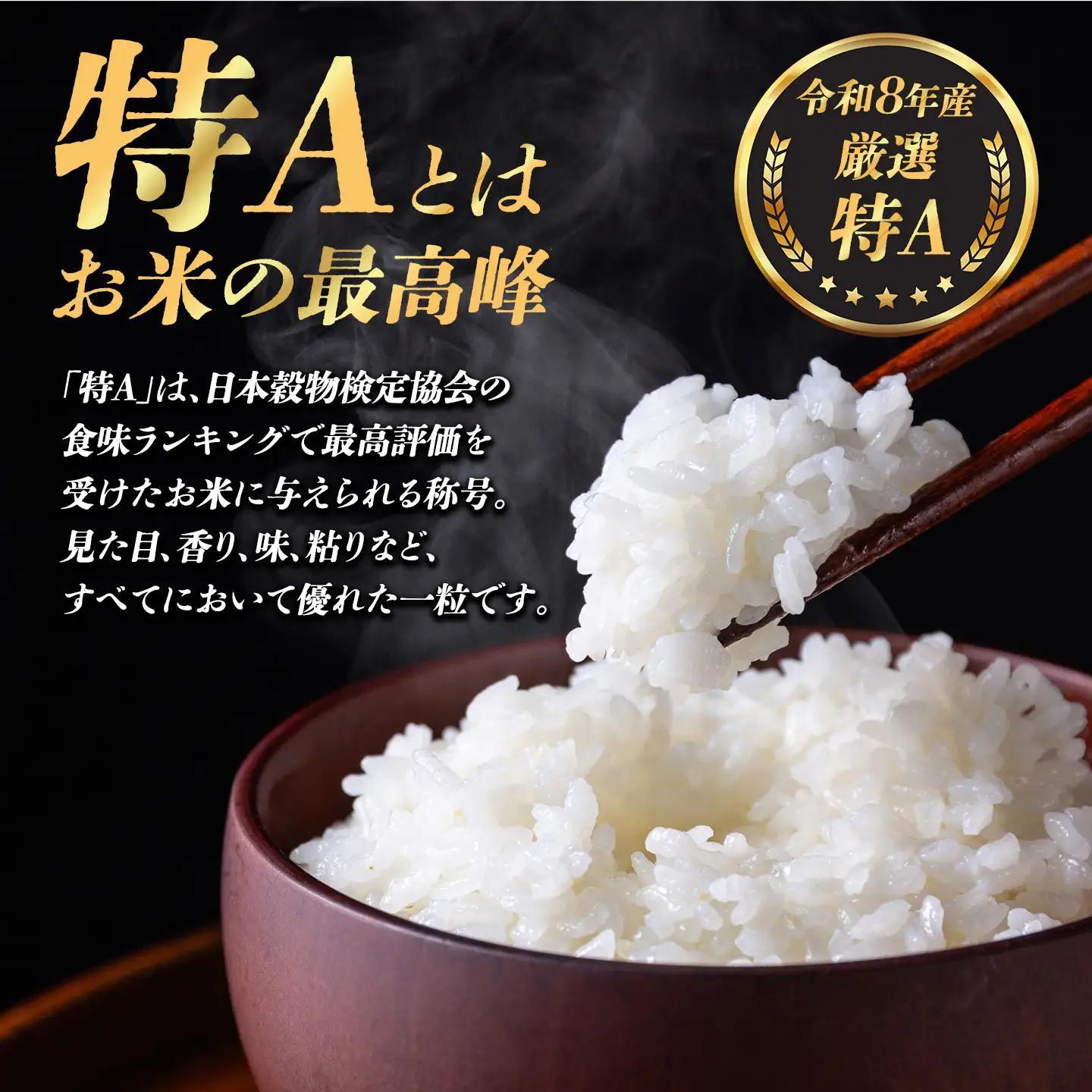 先行予約 令和8年産 精米 こしひかり 10kg コシヒカリ