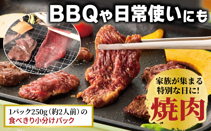 牛タン焼肉 オリジナルスパイス＆牛ハラミ甘辛 食べ比べ焼肉セット 合計2kg（250g×8P） 099H4379_イメージ5
