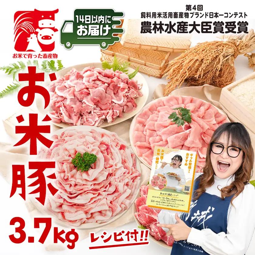 お米豚3.7kgセット≪みやこんじょ快速便≫〔23-3101-R〕_【ご入金確認後、14日以内にお届け!!】(都城市) 豚肉 豚ロース 豚 こま切れ 切り落とし 豚バラ 豚肩ロース ブランド豚 小分け
