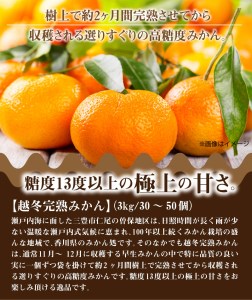 ふるーつ物語「越冬完熟みかん」約3kg（30～50個入り）_M02-0031