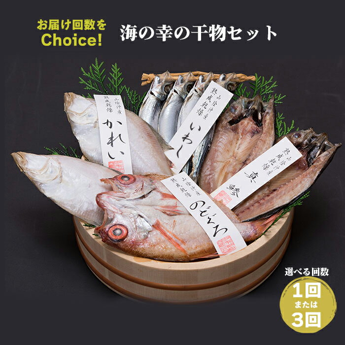 【ふるさと納税】【選べる発送回数】海の幸干物セットB | 単発 3ヵ月 定期便 のどぐろ 真鯵 カレイ うるめイワシ 詰め合わせ ギフト魚 さかな 魚介 魚介類