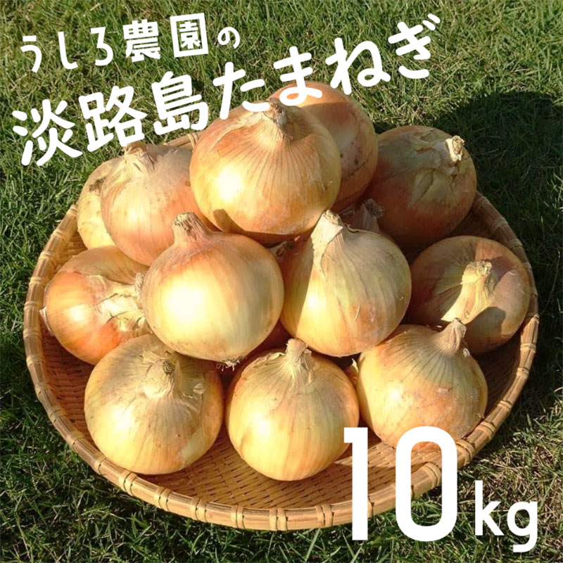 【ふるさと納税】淡路島 玉ねぎ 10kg 肉厚 中生 タマネギ 淡路島産 10キロ スープ ハンバーグ 肉じゃが ホイル焼き 野菜 サラダ うしろ農園 淡路 洲本市　お届け：2026年6月中旬～11月下旬