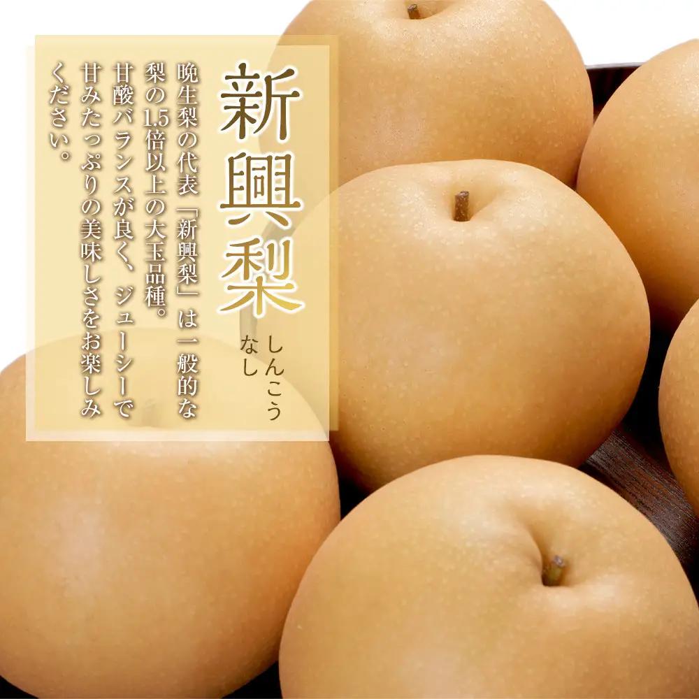  新興梨 4kg（4～16玉前後）先行予約 訳あり※2026年10月上旬～11月下旬頃に順次発送予定 梨