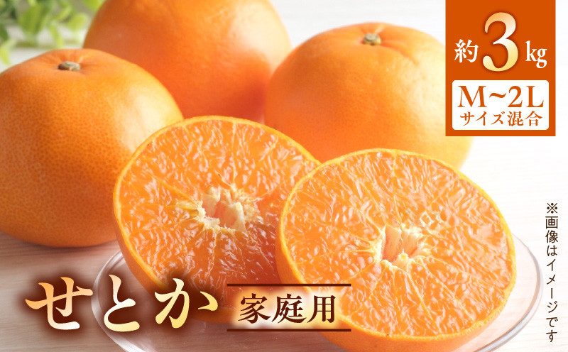 
                  【2027年先行予約】せとか 家庭用 3kg М～2Lサイズ 混合 【ミカン 蜜柑 春みかん 柑橘】_BF6047n
                