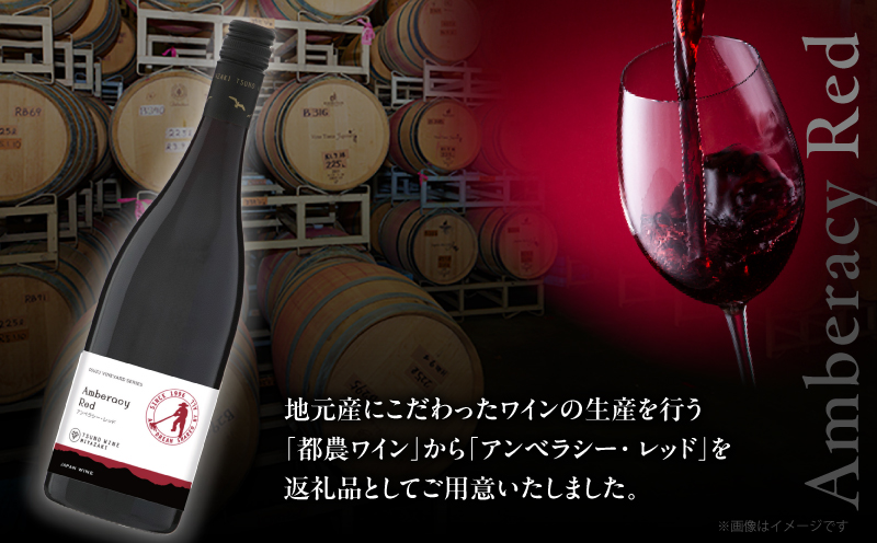 アンベラシー レッド(計1本)_T014-0465【 ワイン 酒 アルコール 国産 人気 ギフト 食品 飲料 BBQ お土産 贈り物 送料無料 プレゼント】
