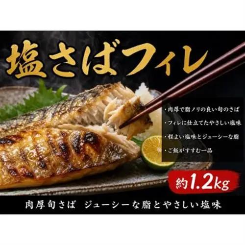 【ご家庭用訳あり】人気の塩さばフィレ＆紅鮭切身セット計2kg【配送不可地域：離島】【1495496】