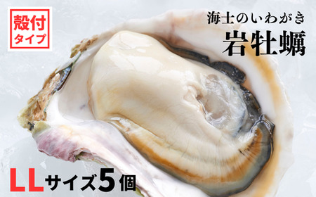 【海士のいわがき】殻付き LLサイズ 5個 岩牡蠣 生食可 新鮮クリーミー 冷凍 牡蛎 牡蠣 かき カキ 岩牡蠣 いわがき CAS CAS冷凍 父の日 母の日 バーベキュー ギフト