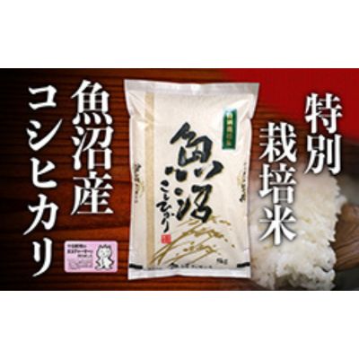【ふるさと納税】【2025年度産】魚沼産特別栽培米コシヒカリ 5kg お米 おこめ こめ 精米 白米 こしひかり 新潟 　お届け：2025年10月11日～2026年10月11日まで