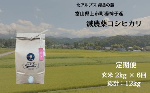 【毎月1回お届け】【定期便】【令和7年産】減農薬 上市町湯神子産コシヒカリ（玄米）2kg x 6回 計12kg　 [ソムリエH 富山県 上市町 32280251-r6-01】 米 ６ヶ月 6回定期便 定期購入 お米 コメ ご飯 ごはん 玄米ご飯 玄米ごはん こしひかり