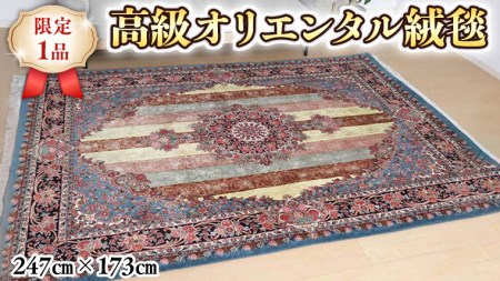 【限定1品】 絨毯 ウール シルク 手織り ラグマット カーペット／ 高級 リビングサイズ 247×173cm 高品質 じゅうたん ラグ （FL-22001) 繊細 メダリオン 花柄 ダイニング 寝室 書斎 和室 床暖房 ホットカーペット対応 じゅうたん ラグ ハンドメイド 伝統工芸 天然素材 高密度 美しい マット カーペット エレガント インテリア モダン クラシック