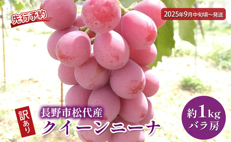 ぶどう 先行予約 長野市松代産 訳ありクイーンニーナ 約1kg バラ房 葡萄 ブドウ 果物 フルーツ デザート おやつ TAKANO農園 信州 果物類 マスカット ギフト 手土産 