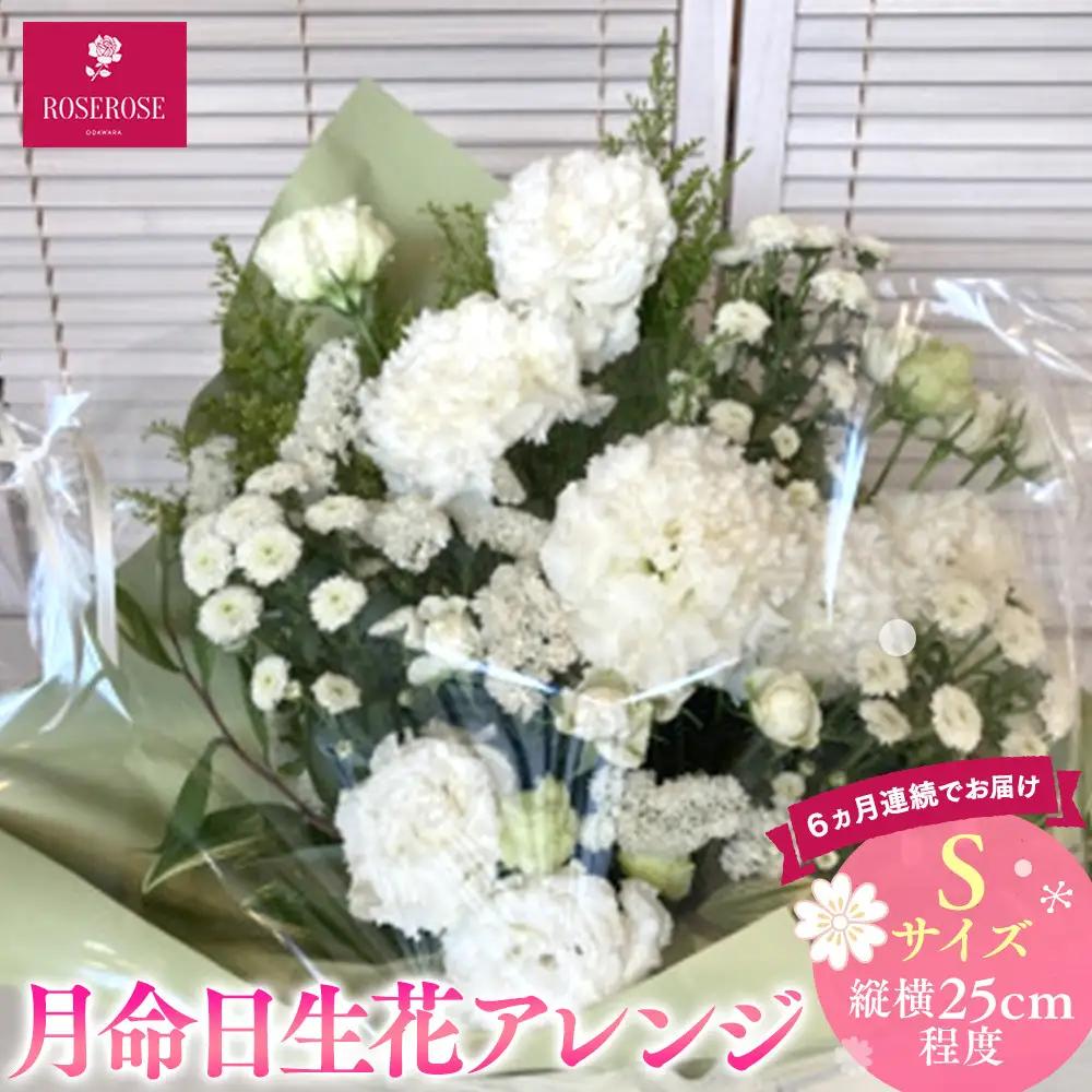 【定期便６ヵ月】月命日生花アレンジ　Sサイズ　６ヵ月連続でお届け【 神奈川県 小田原市フラワー アレンジメント 】