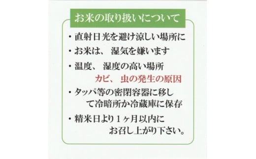 令和6年産　ひとめぼれ10kg（精白、5kg×2）