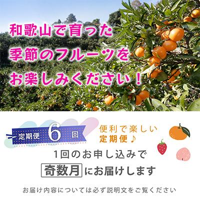 ふるさと納税 和歌山市 【発送月固定定期便】フルーツ定期便A【フルーツ定期便】【和歌山県有田】全6回 |  | 01