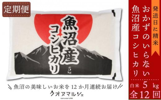 
            【令和７年産】【お米定期便/全１２回】 おかずのいらない 魚沼産コシヒカリ　白米５ｋｇ
          