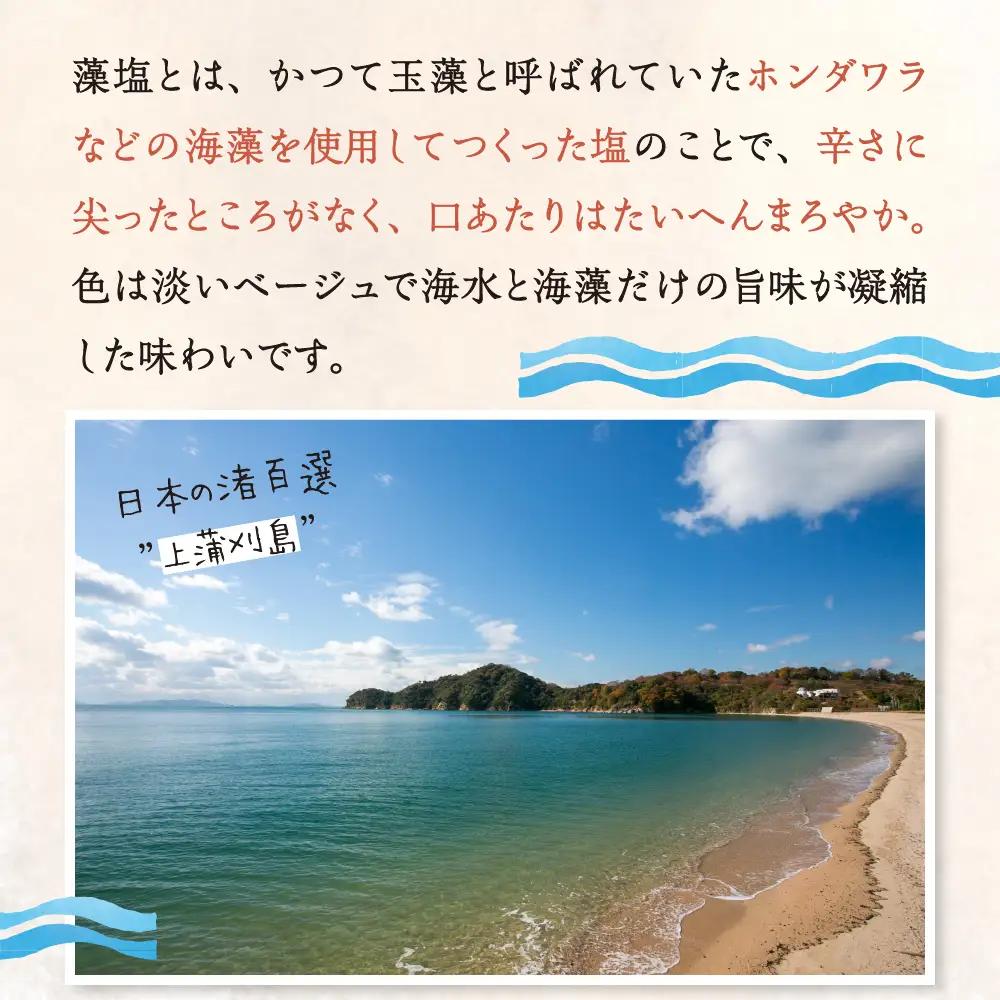 藻塩 スタンドパック セット ミネラル 調味料 塩セット 藻塩 塩