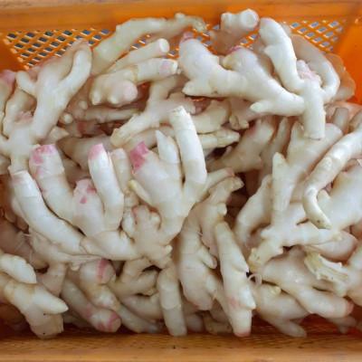 ふるさと納税 静岡市 旬のお野菜詰め合わせセット |  | 01