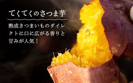 【全12回定期便】濃厚なさつまいもの甘み !  てくてくのさつまいもたると ホール5号× 2個セット 人気 お菓子 スイーツ 美味しい 和菓子 ギフト プレゼント 江田島市/峰商事合同会社[XAD07