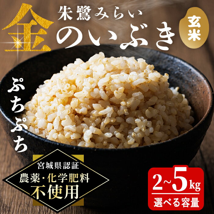 【ふるさと納税】＜宮城県認証 農薬・化学肥料不使用＞金のいぶき 玄米 2kg・5kg 選べる 容量 朱鷺みらい 登米市産 お米 おこめ 米 コメ ご飯 ごはん おにぎり お弁当【オーガニックとめネットワーク】tm586・tm587