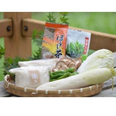 ふるさと納税 南山城村 産地直送!南山城村ふるさと味わいセットB【村のお野菜・お茶・お米】