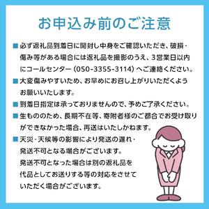 2026年　大人気品種 桃太郎 ぶどう 約1.3kg 2～3房 ｜ぶどう