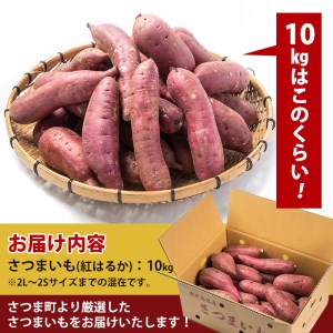 s088 ≪先行予約受付中！2025年11月上旬より順次発送予定≫《期間限定》鹿児島県産紅はるか生芋(10kg) 鹿児島 お芋 生芋 べにはるか 紅はるか さつまいも サツマイモ 薩摩芋 焼き芋 おか