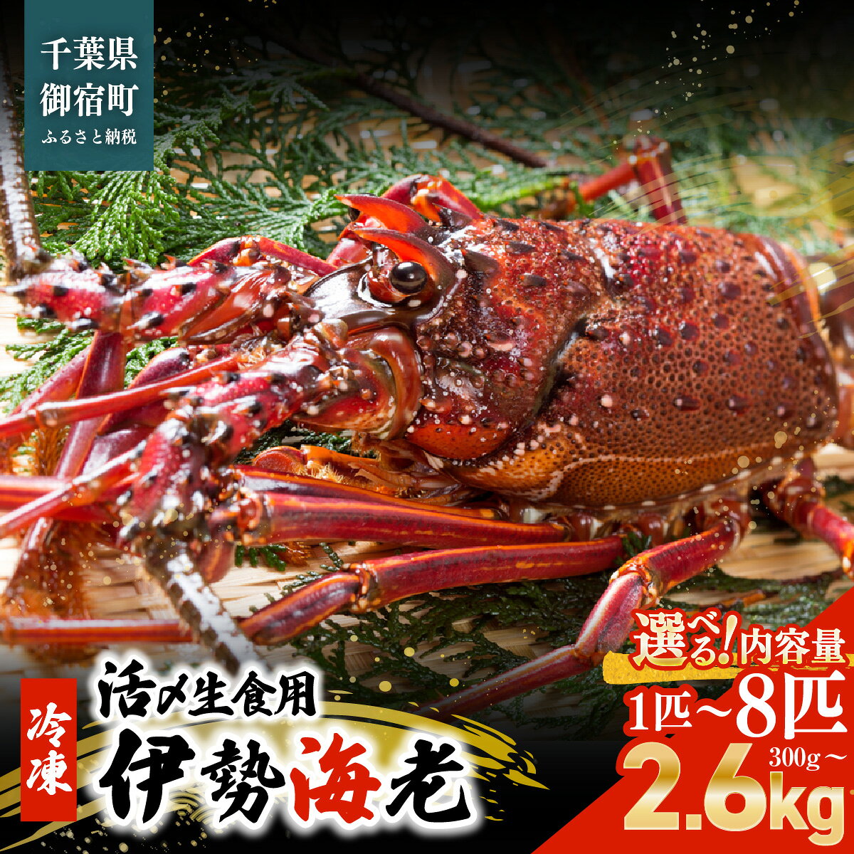 【ふるさと納税】活〆生食用伊勢海老（冷凍）1匹 300～350gサイズ　選べる1～8匹