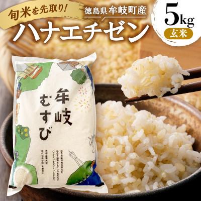 ふるさと納税 牟岐町 令和7年産「新米を先取り!徳島県牟岐町産ハナエチゼン5kg(玄米)」【安心の検査米】